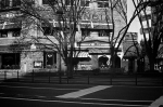 Uʐ^Ao 2014.01.11Yokohama M4 Summilux50mmF1.4 400TX D76 005 2014.01.11 l M4 Summilux50mmF1.4 400TX D76 1:1