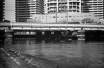 Uʐ^Ao 2014.01.11Yokohama M4 Summilux50mmF1.4 400TX D76 075 2014.01.11 l M4 Summilux50mmF1.4 400TX D76 1:1
