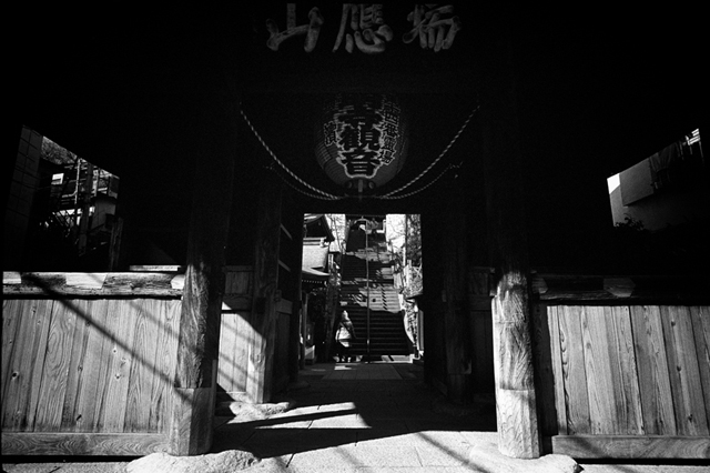 Uʐ^Ao f-2014.01.19Yokohama-M4-SuperAngulon21mmF4-400TX-D76-undiluted-28.jpg 2014.01.19<BR>l<BR>M4 Super-Angulon21mmF4<BR>400TX D76 undiluted