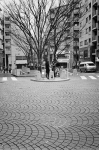 Uʐ^Ao 2014.02.02Tokyo M4 Ultron21mmF1.8 400TX D76 undiluted 51 2014.02.02  M4 Ultron21mmF1.8 400TX D76 undiluted