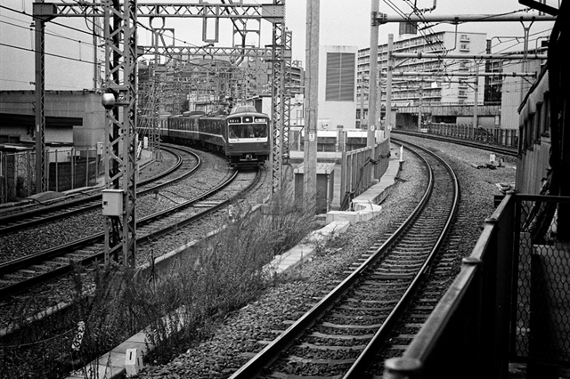 Uʐ^Ao f-2014.02.23Yokohama-F2T-Ai50mmF1.8S-400TX-D76-undiluted-012.jpg 2014.02.23<BR>l<BR>F2T-AS Ai50mmF1.8S<BR>400TX D76 undiluted