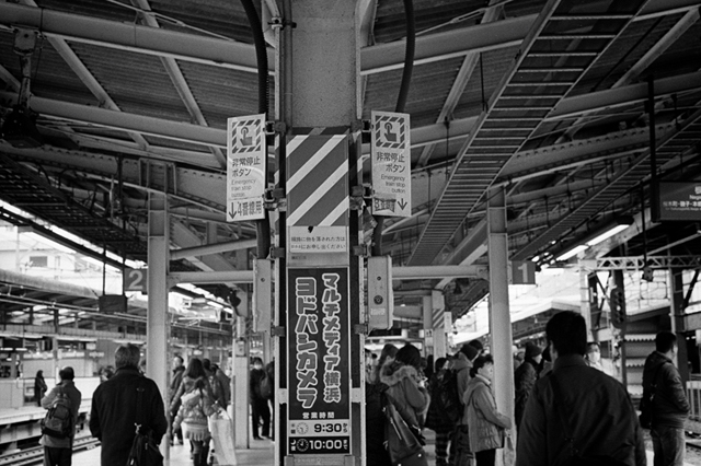 Uʐ^Ao f-2014.02.23Yokohama-F2T-Ai50mmF1.8S-400TX-D76-undiluted-017.jpg 2014.02.23<BR>l<BR>F2T-AS Ai50mmF1.8S<BR>400TX D76 undiluted