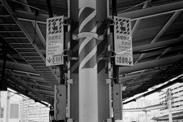 Uʐ^Ao f-2014.02.23Yokohama-F2T-Ai50mmF1.8S-400TX-D76-undiluted-019.jpg 2014.02.23<BR>l<BR>F2T-AS Ai50mmF1.8S<BR>400TX D76 undiluted