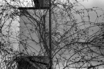 2014.02.23Yokohama F2T Ai50mmF1.8S 400TX D76 undiluted 001 お散歩写真アルバム 2014.02.23 横浜 F2T-AS Ai50mmF1.8S 400TX D76 undiluted