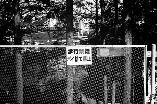 Uʐ^Ao f-2014.03.08Yokohama-M3-Summicron50mmF2-400TX-D76-undiluted-04.jpg 2014.03.08<BR>l<BR>M3 Summicron50mmF2<BR>400TX D76 undiluted