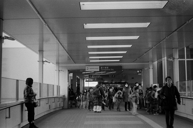 Uʐ^Ao f-2014.03.08Yokohama-M3-Summicron50mmF2-400TX-D76-undiluted-07.jpg 2014.03.08<BR>l<BR>M3 Summicron50mmF2<BR>400TX D76 undiluted