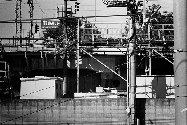 Uʐ^Ao f-2014.03.08Yokohama-M3-Summicron50mmF2-400TX-D76-undiluted-20.jpg 2014.03.08<BR>l<BR>M3 Summicron50mmF2<BR>400TX D76 undiluted