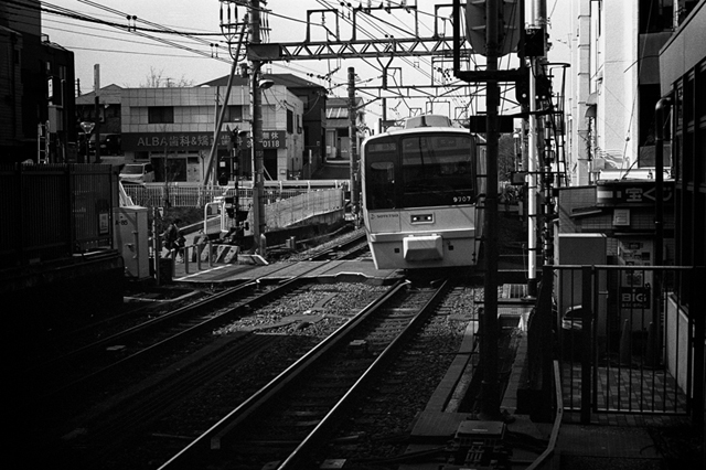 Uʐ^Ao f-2014.03.09Tokyo-M3-Summicron50mmF2-400TX-D76-undiluted-04.jpg 2014.03.09<BR><BR>M3 Summicron50mmF2<BR>400TX D76 undiluted