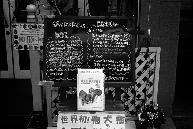 Uʐ^Ao f-2014.03.09Tokyo-M3-Summicron50mmF2-400TX-D76-undiluted-20.jpg 2014.03.09<BR><BR>M3 Summicron50mmF2<BR>400TX D76 undiluted