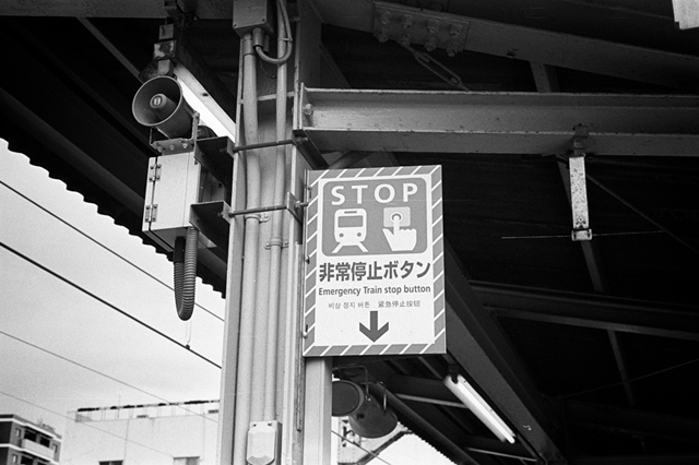 Uʐ^Ao f-2014.04.05Yokohama-M3-Summicron50mmF2Rigidlate-400TX-D76-undiluted-21.jpg 2014.04.05<BR>l (2)<BR>M3 Summicron50mmF2Rigid-late<BR>400TX D76 undiluted