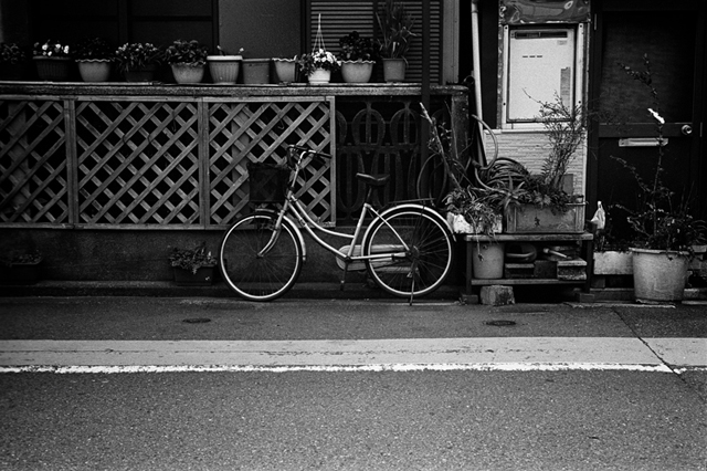 Uʐ^Ao f-2014.04.05Yokohama-M3-Summicron50mmF2Rigidlate-400TX-D76-undiluted-25.jpg 2014.04.05<BR>l (2)<BR>M3 Summicron50mmF2Rigid-late<BR>400TX D76 undiluted