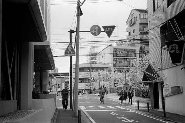 Uʐ^Ao f-2014.04.05Yokohama-M3-Summicron50mmF2Rigidlate-400TX-D76-undiluted-38.jpg 2014.04.05<BR>l (2)<BR>M3 Summicron50mmF2Rigid-late<BR>400TX D76 undiluted