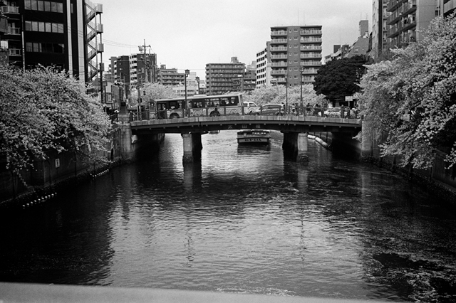 Uʐ^Ao f-2014.04.05Yokohama-M3-Summicron50mmF2Rigidlate-400TX-D76-undiluted-06.jpg 2014.04.05<BR>l<BR>M3 Summicron50mmF2Rigid-late<BR>400TX D76 undiluted