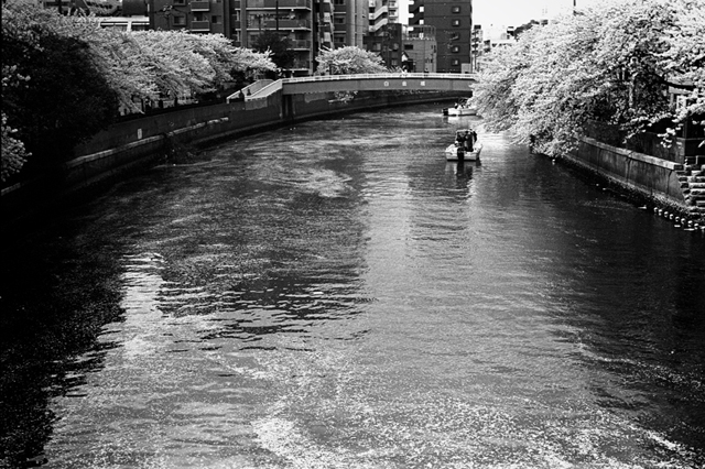 Uʐ^Ao f-2014.04.05Yokohama-M3-Summicron50mmF2Rigidlate-400TX-D76-undiluted-08.jpg 2014.04.05<BR>l<BR>M3 Summicron50mmF2Rigid-late<BR>400TX D76 undiluted