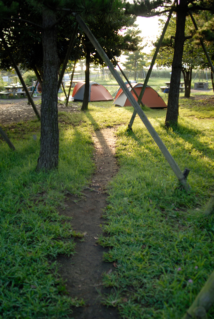 ���U���ʐ^�A���o�� f-E2006.08.19-200_1483.jpg 2006.08.18-19<BR>��쓇