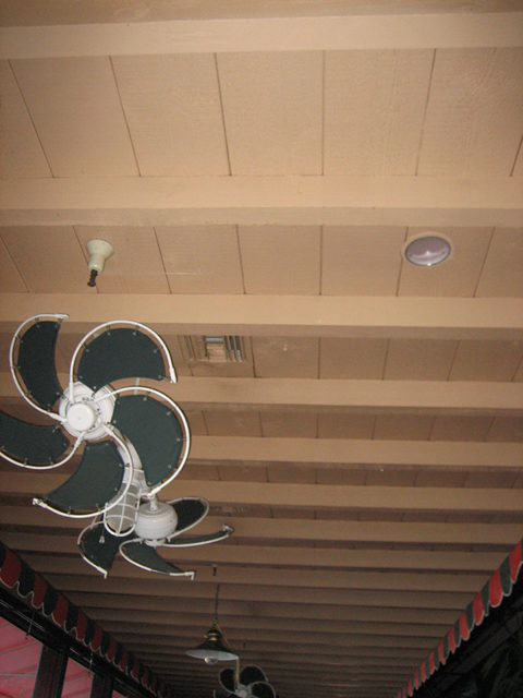 ���U���ʐ^�A���o�� f-2006.09.21-IMG_1701.jpg 2006.09.18-24<BR>�����g���[�ƃN�p�`�[�m