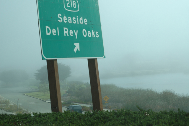 ���U���ʐ^�A���o�� f-2006.09.23-DSC_3038.jpg 2006.09.18-24<BR>�����g���[�ƃN�p�`�[�m