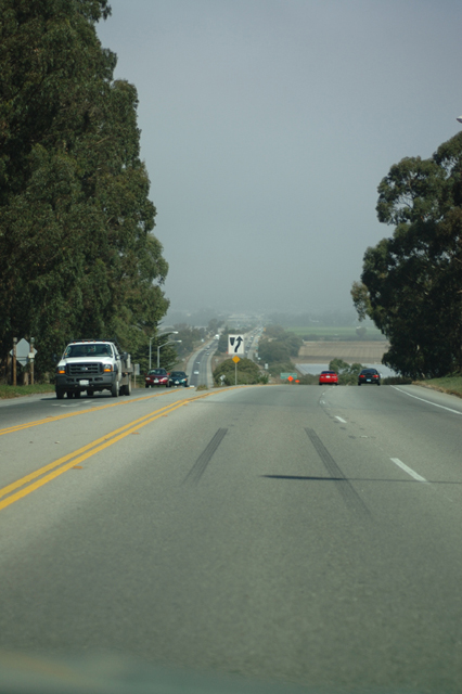 ���U���ʐ^�A���o�� f-2006.09.23-DSC_3051.jpg 2006.09.18-24<BR>�����g���[�ƃN�p�`�[�m