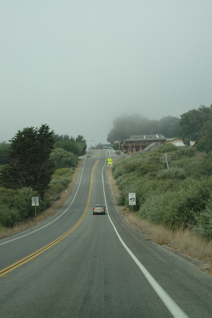 ���U���ʐ^�A���o�� f-2006.09.23-DSC_3075.jpg 2006.09.18-24<BR>�����g���[�ƃN�p�`�[�m