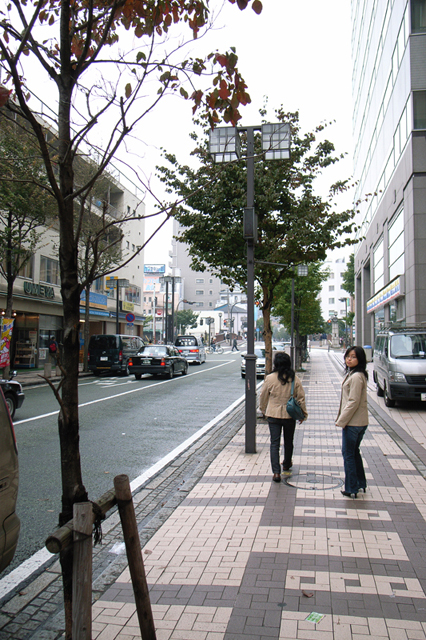 ���U���ʐ^�A���o�� f-20061029-102319000.jpg 2006.10.29<BR>�R��E���ؒ�