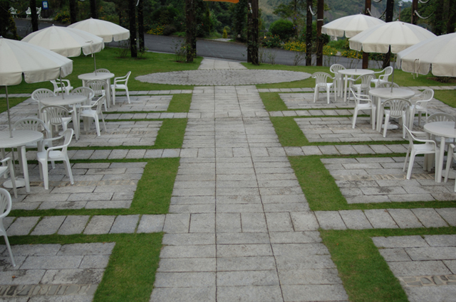 ���U���ʐ^�A���o�� f-2007.10.13-0053.jpg 2007.10.13<BR>�M�C<BR>D2Xs AF28mmF1.4D
