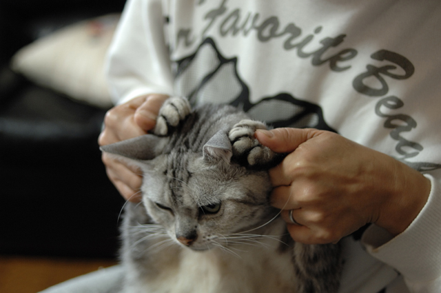 ���U���ʐ^�A���o�� f-2007.11.04-0008.jpg 2007.11.04<BR>��<BR>D2Xs AF35mmF2D