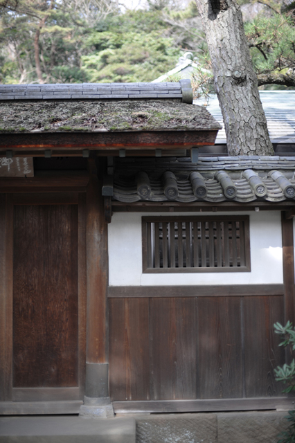 ���U���ʐ^�A���o�� f-2008.01.20-2005.jpg 2008.01.20<BR>�{�q<BR>D3 AF50mmF1.4D