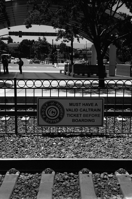 ���U���ʐ^�A���o�� f-2008.06.16-SP-100ACROS-1004.jpg 2008.06.16<BR>�T���t�����V�X�R<BR>SP S50mmF1.4<BR>ACROS100 D76 1:1