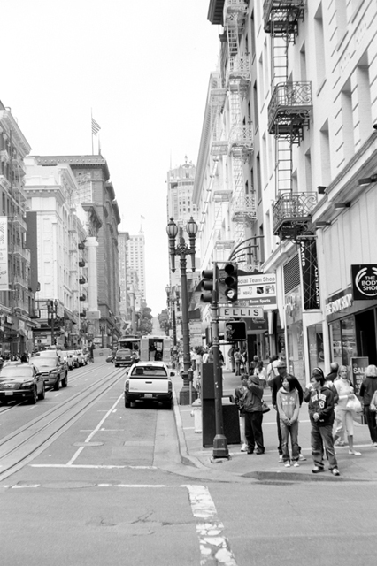 ���U���ʐ^�A���o�� f-2008.06.16-SP-100ACROS-1024.jpg 2008.06.16<BR>�T���t�����V�X�R<BR>SP S50mmF1.4<BR>ACROS100 D76 1:1
