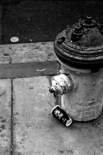 ���U���ʐ^�A���o�� f-2008.06.16-SP-100ACROS-1025.jpg 2008.06.16<BR>�T���t�����V�X�R<BR>SP S50mmF1.4<BR>ACROS100 D76 1:1