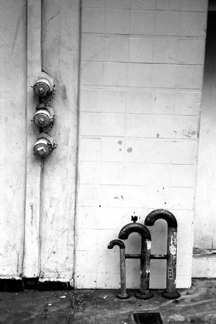 ���U���ʐ^�A���o�� f-2008.06.16-SP-100ACROS-1026.jpg 2008.06.16<BR>�T���t�����V�X�R<BR>SP S50mmF1.4<BR>ACROS100 D76 1:1