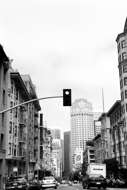 ���U���ʐ^�A���o�� f-2008.06.16-SP-100ACROS-1027.jpg 2008.06.16<BR>�T���t�����V�X�R<BR>SP S50mmF1.4<BR>ACROS100 D76 1:1