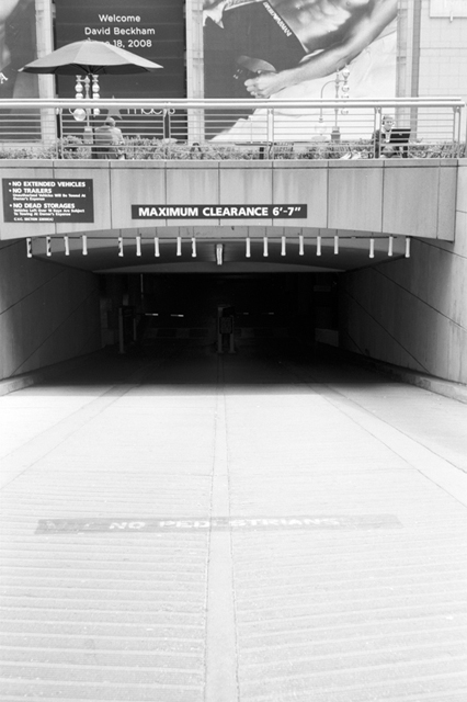 ���U���ʐ^�A���o�� f-2008.06.16-SP-100ACROS-1030.jpg 2008.06.16<BR>�T���t�����V�X�R<BR>SP S50mmF1.4<BR>ACROS100 D76 1:1