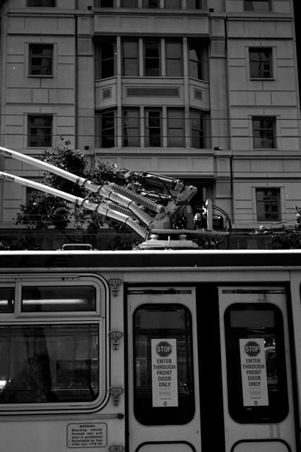 ���U���ʐ^�A���o�� f-2008.06.16-SP-100ACROS-1033.jpg 2008.06.16<BR>�T���t�����V�X�R<BR>SP S50mmF1.4<BR>ACROS100 D76 1:1