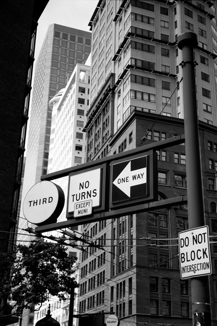 ���U���ʐ^�A���o�� f-2008.06.16-SP-100ACROS-1035.jpg 2008.06.16<BR>�T���t�����V�X�R<BR>SP S50mmF1.4<BR>ACROS100 D76 1:1
