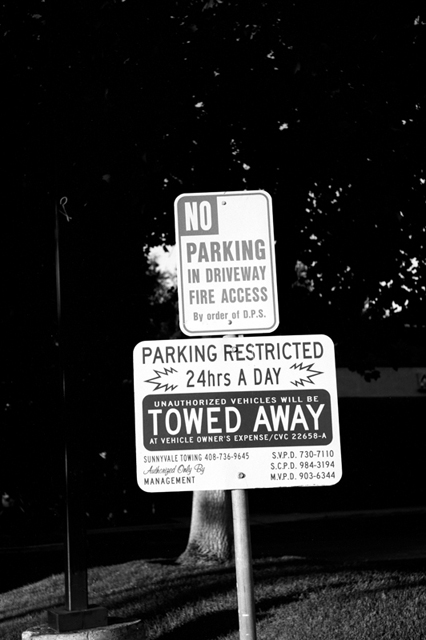 ���U���ʐ^�A���o�� f-2008.06.16-SP-100ACROS-1037.jpg 2008.06.16<BR>�T���t�����V�X�R<BR>SP S50mmF1.4<BR>ACROS100 D76 1:1