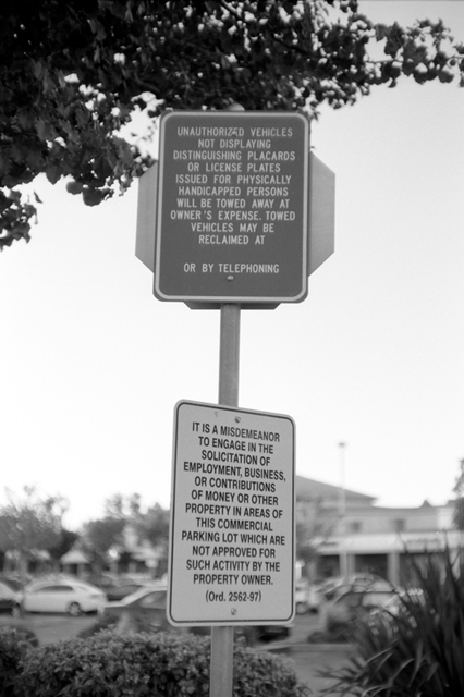 ���U���ʐ^�A���o�� f-2008.06.16-SP-100ACROS-1038.jpg 2008.06.16<BR>�T���t�����V�X�R<BR>SP S50mmF1.4<BR>ACROS100 D76 1:1
