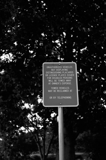 ���U���ʐ^�A���o�� f-2008.06.16-SP-100ACROS-1039.jpg 2008.06.16<BR>�T���t�����V�X�R<BR>SP S50mmF1.4<BR>ACROS100 D76 1:1