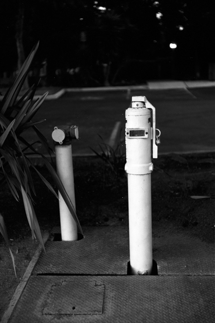 ���U���ʐ^�A���o�� f-2008.06.16-SP-100ACROS-1040.jpg 2008.06.16<BR>�T���t�����V�X�R<BR>SP S50mmF1.4<BR>ACROS100 D76 1:1