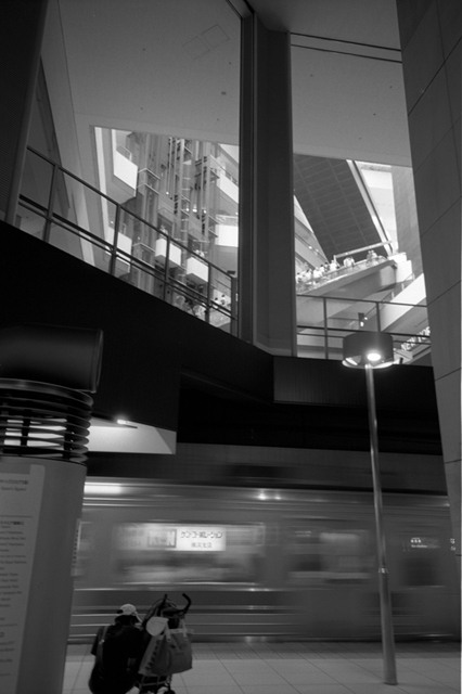 ���U���ʐ^�A���o�� f-2008.07.26-27-GR1v-3-Acros100-3008.jpg 2008.07.26-27<BR>���l<BR>GR1v<BR>Venus400<BR>Acros100 D76 1:1