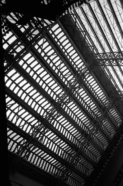 ���U���ʐ^�A���o�� f-2008.07.26-27-GR1v-3-Acros100-3009.jpg 2008.07.26-27<BR>���l<BR>GR1v<BR>Venus400<BR>Acros100 D76 1:1