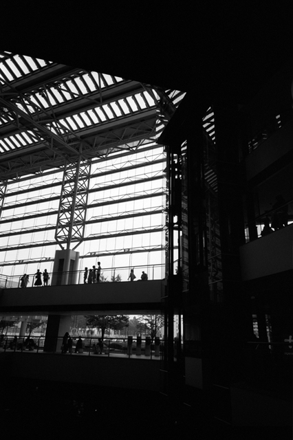 ���U���ʐ^�A���o�� f-2008.07.26-27-GR1v-3-Acros100-3011.jpg 2008.07.26-27<BR>���l<BR>GR1v<BR>Venus400<BR>Acros100 D76 1:1