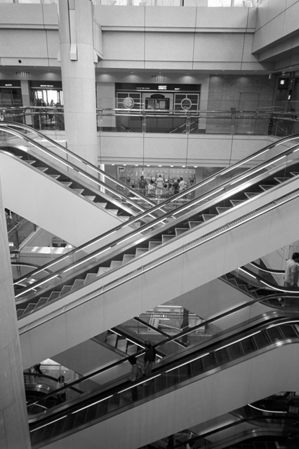 ���U���ʐ^�A���o�� f-2008.07.26-27-GR1v-3-Acros100-3016.jpg 2008.07.26-27<BR>���l<BR>GR1v<BR>Venus400<BR>Acros100 D76 1:1
