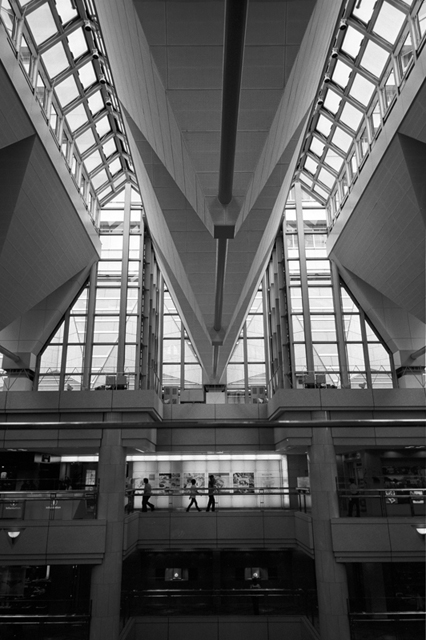 ���U���ʐ^�A���o�� f-2008.07.26-27-GR1v-3-Acros100-3017.jpg 2008.07.26-27<BR>���l<BR>GR1v<BR>Venus400<BR>Acros100 D76 1:1