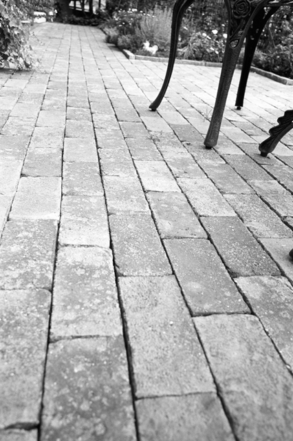 ���U���ʐ^�A���o�� f-2008.07.26-27-GR1v-3-Acros100-3019.jpg 2008.07.26-27<BR>���l<BR>GR1v<BR>Venus400<BR>Acros100 D76 1:1