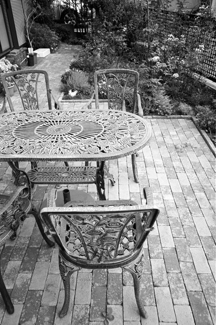 ���U���ʐ^�A���o�� f-2008.07.26-27-GR1v-3-Acros100-3020.jpg 2008.07.26-27<BR>���l<BR>GR1v<BR>Venus400<BR>Acros100 D76 1:1