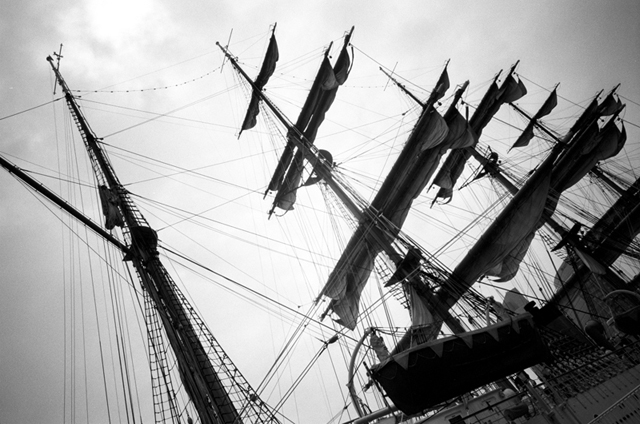���U���ʐ^�A���o�� f-2008.08.24-GR1v-400TX-1019.jpg 2008.08.24<BR>���l<BR>GR1v 400TX