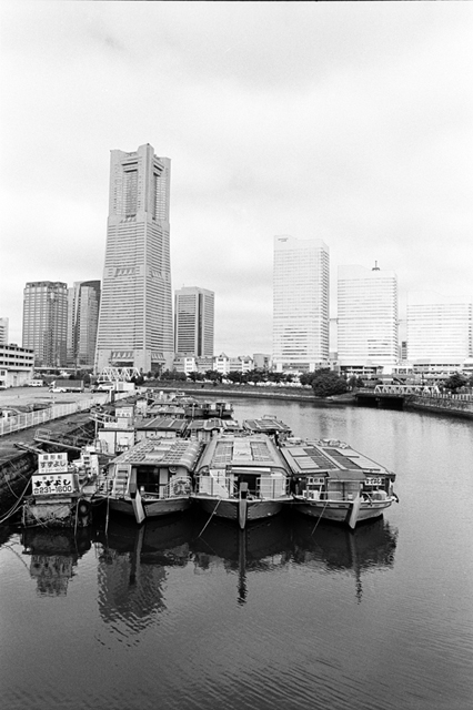 ���U���ʐ^�A���o�� f-2008.08.31-F5-400TX-3012.jpg 2008.08.31<BR>���l<BR>F5<BR>400TX D76 1:1