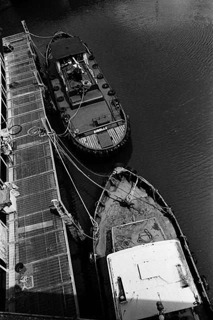 ���U���ʐ^�A���o�� f-2008.08.31-F5-400TX-3023.jpg 2008.08.31<BR>���l<BR>F5<BR>400TX D76 1:1