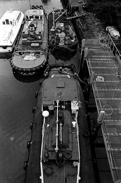 ���U���ʐ^�A���o�� f-2008.08.31-F5-400TX-3024.jpg 2008.08.31<BR>���l<BR>F5<BR>400TX D76 1:1
